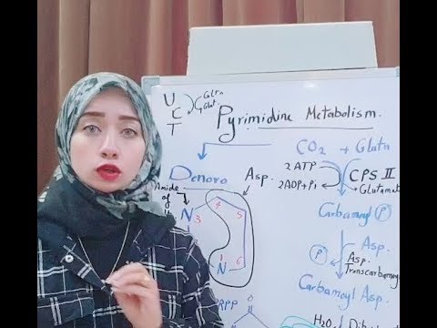 ( NUCLEOPROTEIN Metabolism Session 4)Pyrimidine metabolism P 1