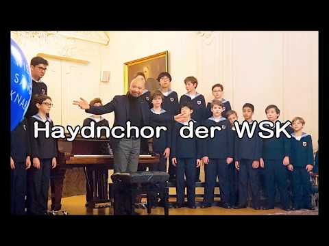 Tag der offenen Tür  - Eröffnungskonzert des Haydnchors