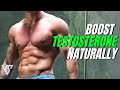 5 Easy Ways to Boost Testosterone Levels Naturally (BUILD MORE MUSCLE!)