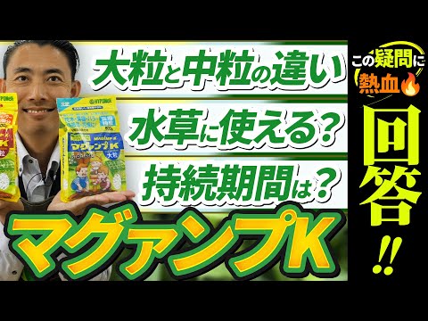 園芸 ブルー ジェネピ、マレ ジェネピ、ブラック ジェネピ、トゥルー ジェネピ