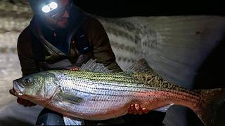 The NJ Striper Pattern That Wouldn't Stop Producing (NJ Surf Fishing)