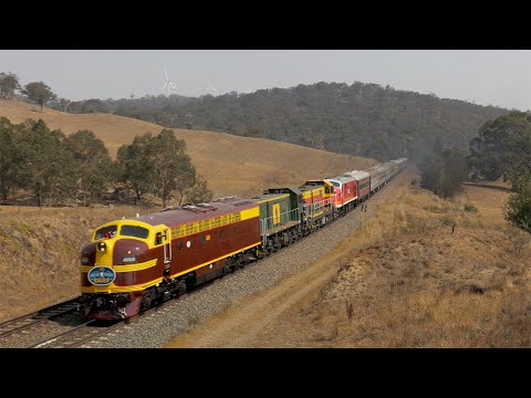 Streamliner locomotives 4204 & 42103  with 4908 & 4911 - "BLUE SUEDE EXPRESS" - January  2020