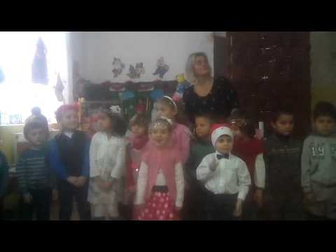 Tisa silvestri serbare