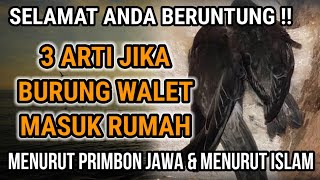 Download lagu 3 MEANINGS OF SWALLOWS ENTERING YOUR HOUSE...!! THIS COULD BE A SIGN OF ABUNDANT PROFIT WILL COME... mp3