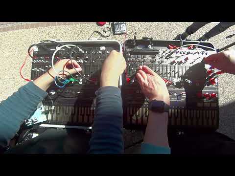 Buchla Easel Twins Session.1