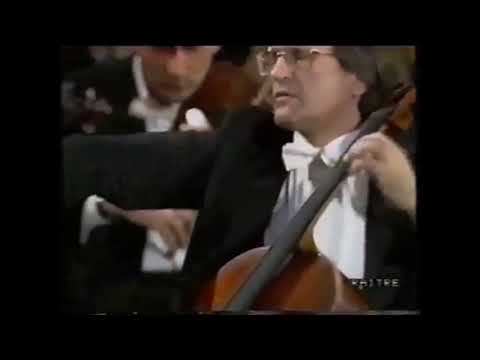 Beethoven - Triple Concerto (P.Hirschhorn, D.Geringas, G.Oppitz)