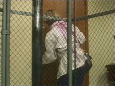 download lagu mp3 mp4 Joppe, download lagu Joppe gratis, unduh video klip Joppe