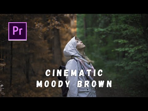 How To Create Moody Brown\Yellow Effect In Just A Minute | Adobe Premiere Pro