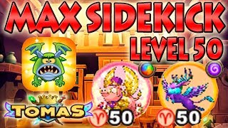 EVERWING MAX LEVEL 50 ALL SIDEKICKS INSTANTLY REALLY FAST AND EASY *TOMASCHANNEL TOMASEVERWING*