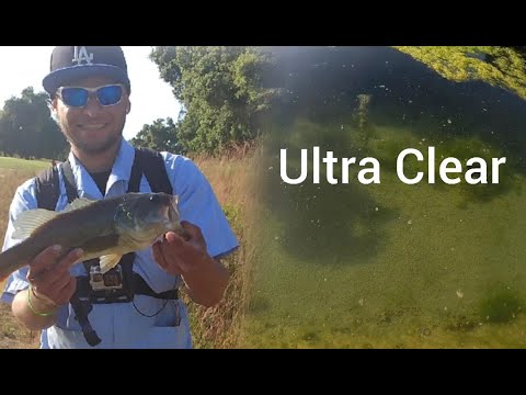 Fishing Ultra Clear Water