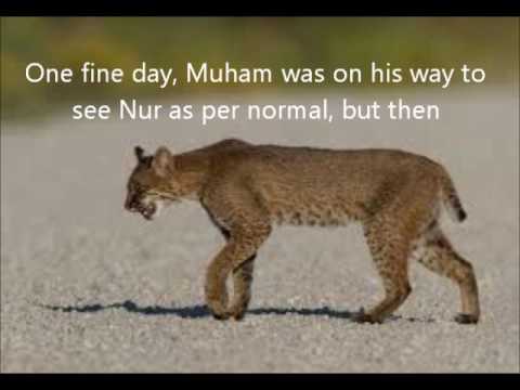 A  love story of cats that is told by pictures