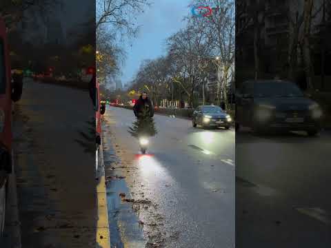  ' . get_the_title() . ' 