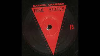 Darwin Chamber ‎– Forest