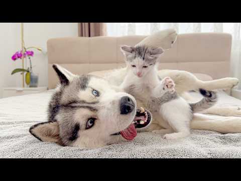 YouTube 썸네일