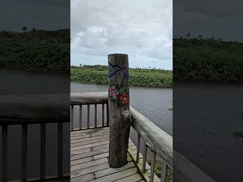 Itaúnas - Espírito Santo - Passeio da Rota 408 #cidadesdobrasil