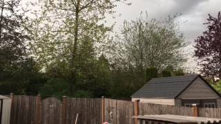 Everett, Wa -- May 4th Thunderstorm