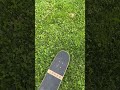 Skateboard Fails 1 Skateboarding Wheelie Boardislife Shorts Fyp