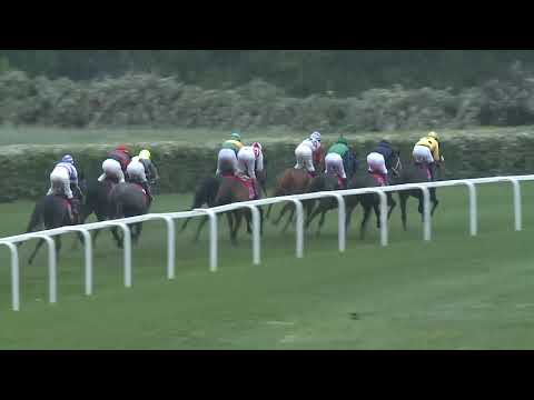 2019.05.05. 09. futam - BATTHYÁNY-HUNYADY DÍJ (HUN Gd-2) (NGL-I.)