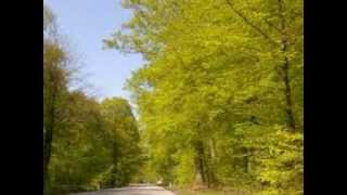 "Det er i dag et Vejr - " af Ludvig Holstein, reciteret af Visemanden