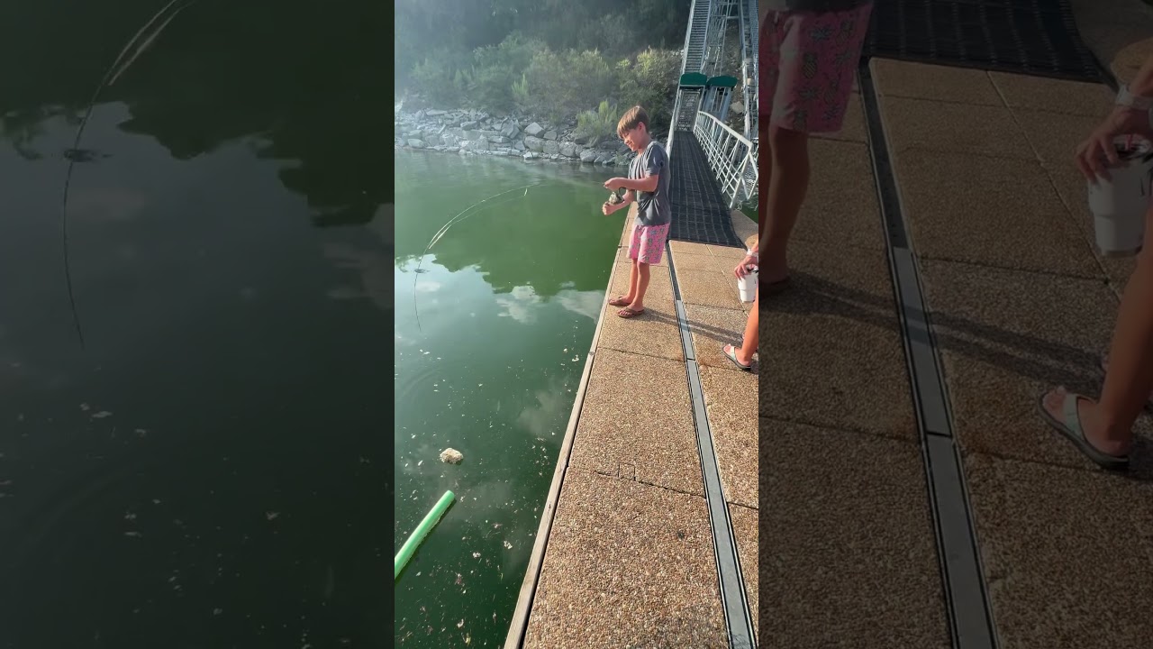 Beginner catches Huge catfish! #bigfishvideos #fishing