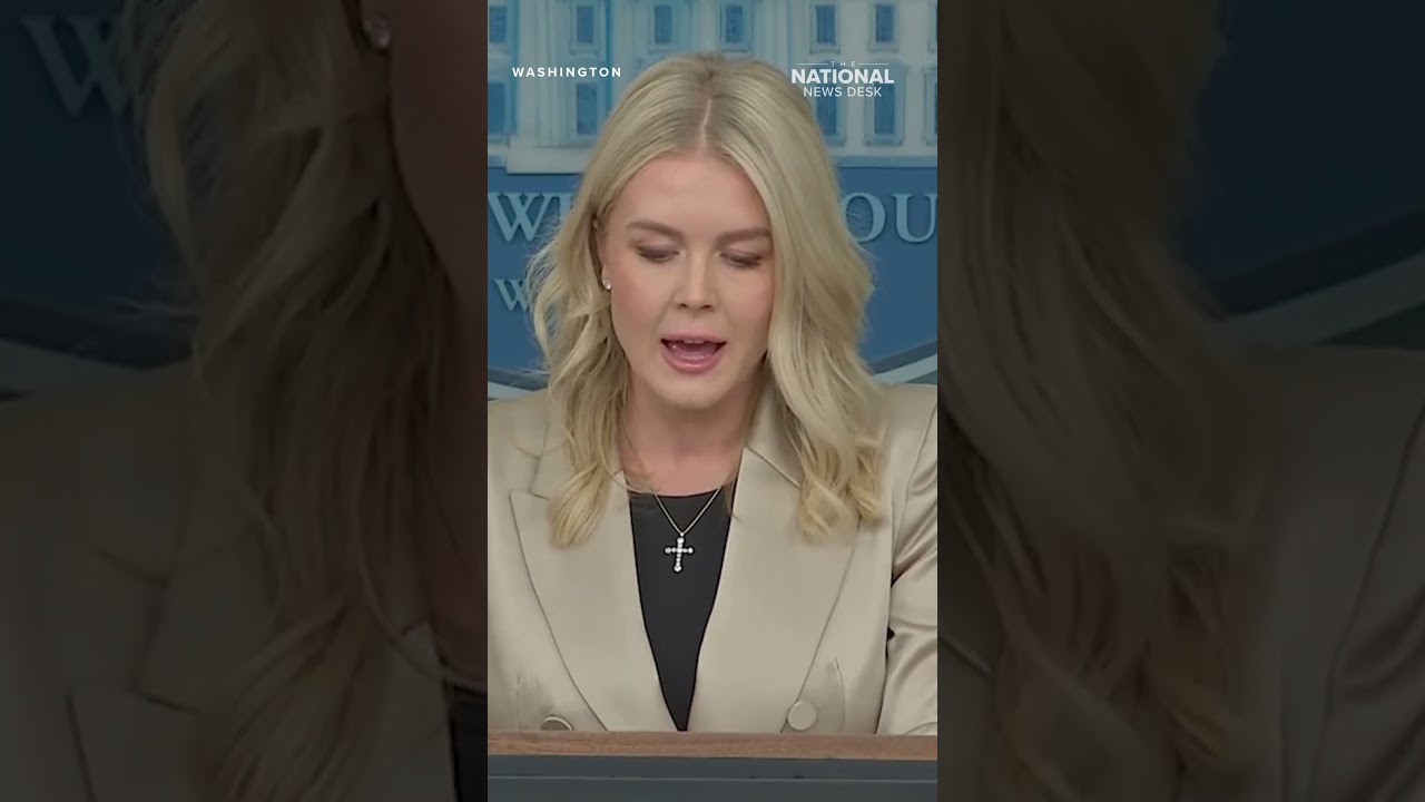 Is Project 2025 the template?