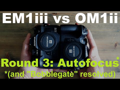 Olympus EM1 Mark III vs OM System OM1 Mark II | Round 3: Autofocus Comparison & Review