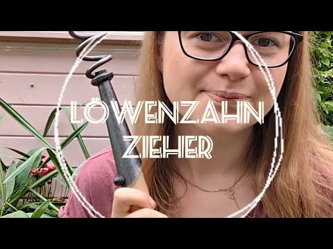 Löwenzahnzieher im Einsatz 🌱 Praktisches Gartenwerkzeug vorgestellt
