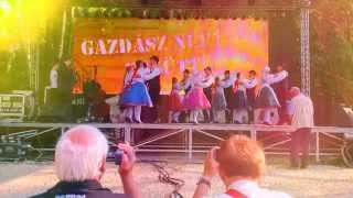 preview picture of video 'Gazdász Néptáncegyüttes, 2014.05.01., Mosonmagyaróvár, Wittmann-park'