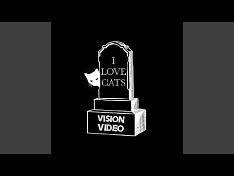 I Love Cats