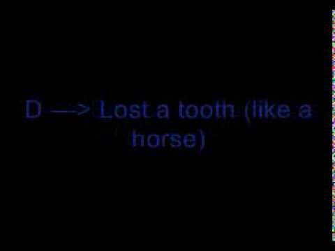 Like A Horse by Broadway Equius Feat. AKV with Lyrics