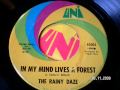 THE RAINY DAZE - In my mind lives a forest