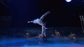 Matthew Bourne's  Swan Lake Pas de Deux