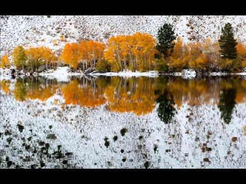 Uma2rmaH feat Vitalii Samodai   Prostitsya Sax mix