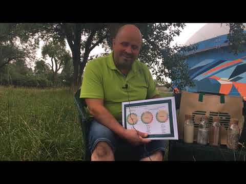 Kalk oder doch besser Gips düngen?