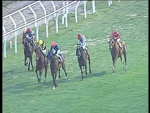 Galoppo 17/02/2018 - 5ª corsa