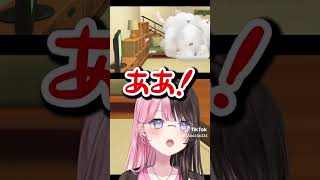 #橘ひなの #ぶいすぽ #トモコレ