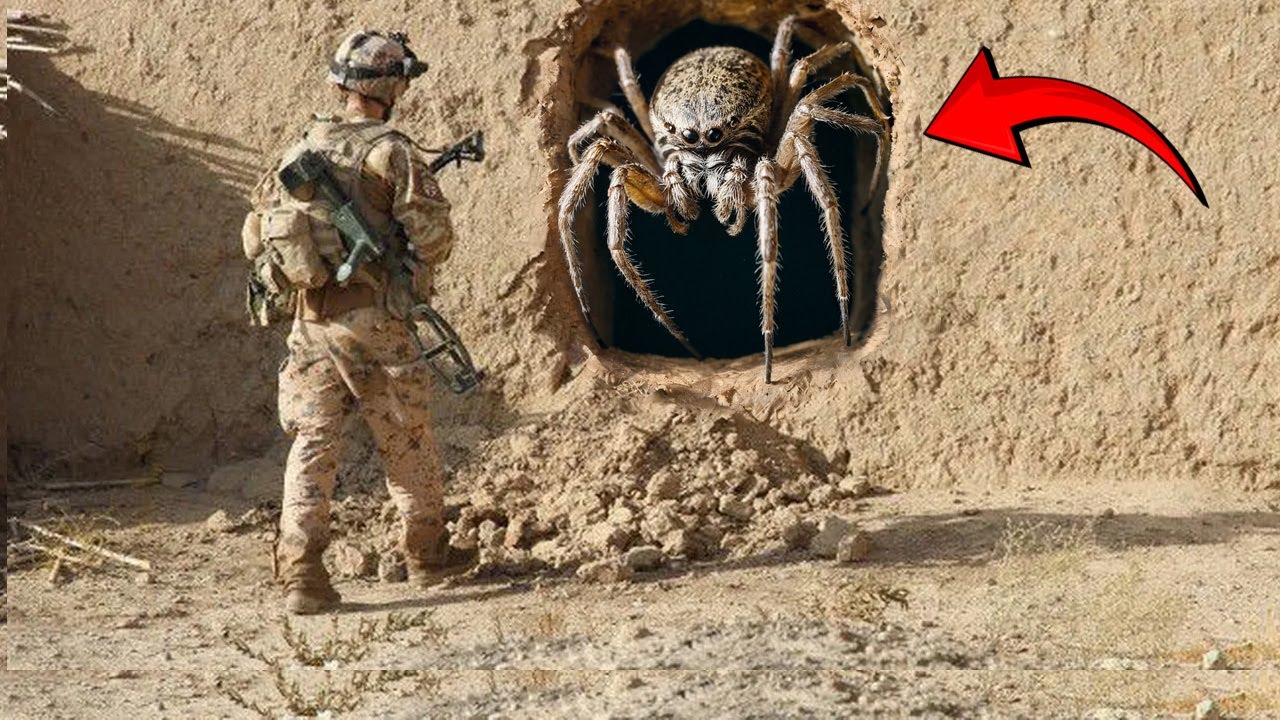 These Soldiers Witnessed Unexplainable Things that Shocked Everyone!