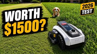 I Let a Robot Mower Take Over My Yard