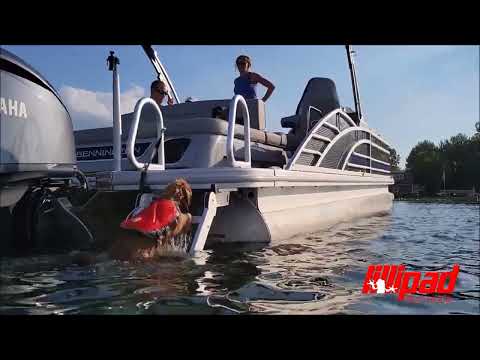 Best Pontoon Boarding Ladder on the Market (Found at the Charlotte Boat Show) Lilli Pad Revo Ladder