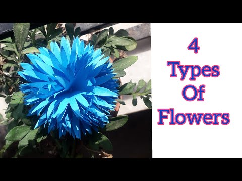4 types of flowers || With Paper || Bidisha's Creatives