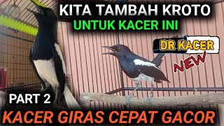 Download lagu (FULL) KACER GIRAS HARGA 250 RIBU KACER KALIAN JUGA GIRAS? mp3