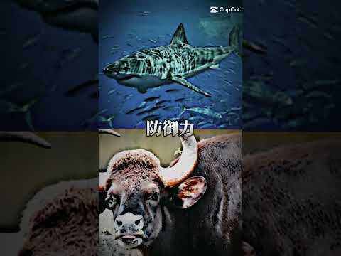 陸上動物 - 種類、特徴、例