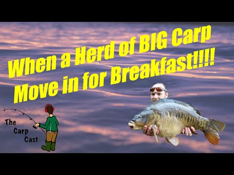 Morning Madness!!!!!