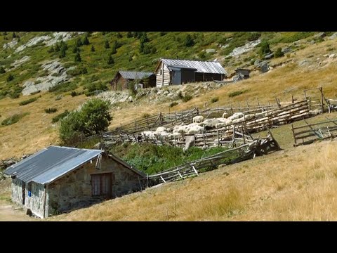 Bjeshka RRASA E ZOGUT - Sekuenca të reportazhit