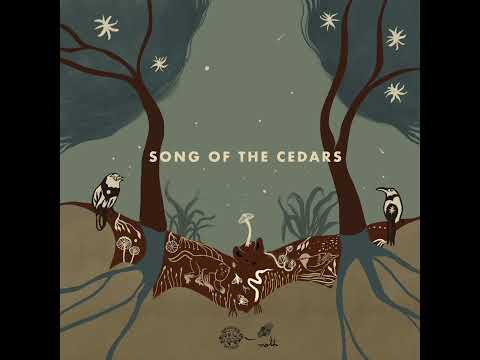 Los Cedros Cloud Forest, Cosmo Sheldrake, Robert Macfarlane - Song of the Cedars
