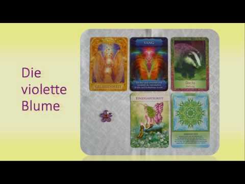 Wochenorakel 14. November 2016 bis 20. November 2016