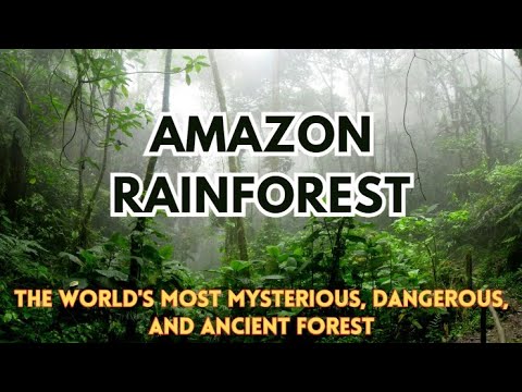 Amazon Rainforest Part 1: Mysteries Hidden for Thousands of Years