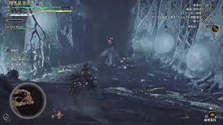 [モンハンワイルズ]　歴戦王アルシュベルド❕
