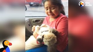 Girl Cries Over Dog