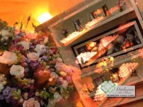 Programa Neusa Bighetti 26/07/2009 - Galeria das Flores